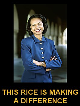 ricedif.jpg